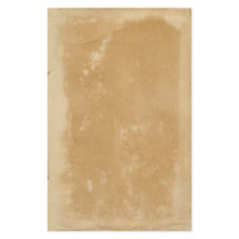Ancient Parchment Vintage Look