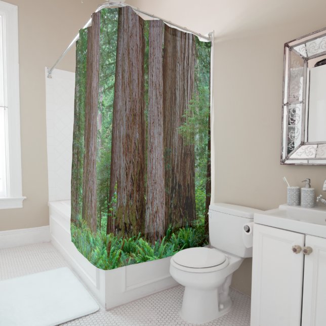 Ancient Redwoods Towering Shower Curtain (In Situ)