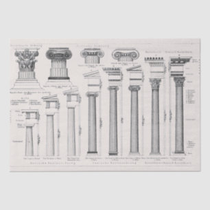 Ancient Roman Columns Architectural Drawing Tissue Paper