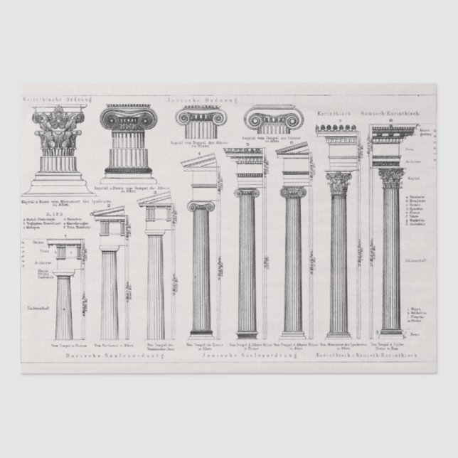 Ancient Roman Columns Architectural Drawing Tissue Paper (Front)