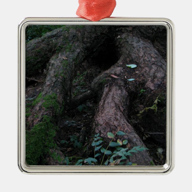 Ancient Roots Metal Tree Decoration (Front)