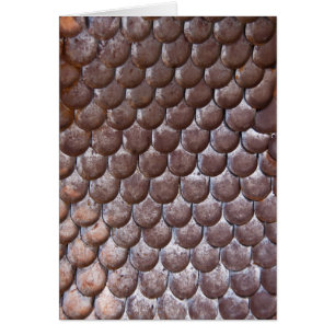 Ancient scale armour