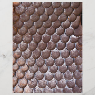 Ancient scale armour flyer