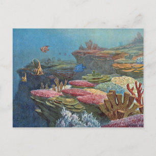Ancient Sea Coral Antique Print Postcard