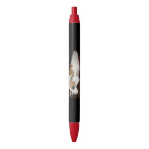 Ancient Shinese Secret Pens