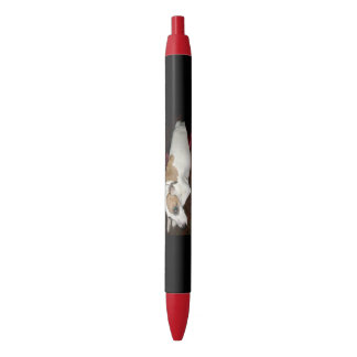 Ancient Shinese Secret Pens