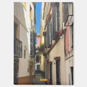 Ancient street in Seville, Spain, travel Magnet