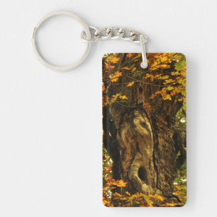 Ancient Tree Keychain