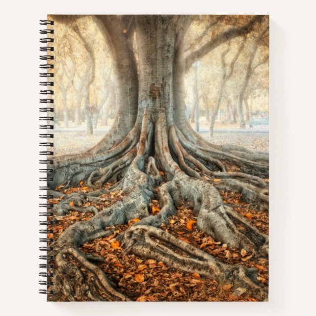 Ancient Tree Roots Notebook (Front)