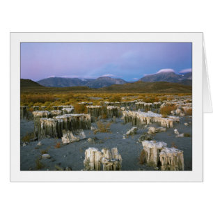 "Ancient Watermark"