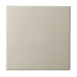 Anciently Marble Neutral Square Kitchen and Bath Tile