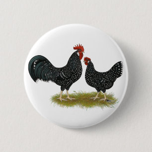 Ancona Chickens 6 Cm Round Badge
