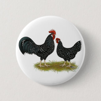Ancona Chickens 6 Cm Round Badge