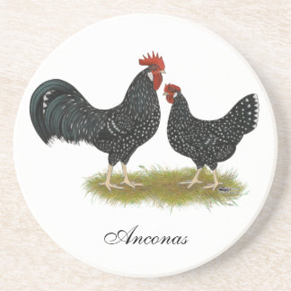 Ancona Chickens Coaster