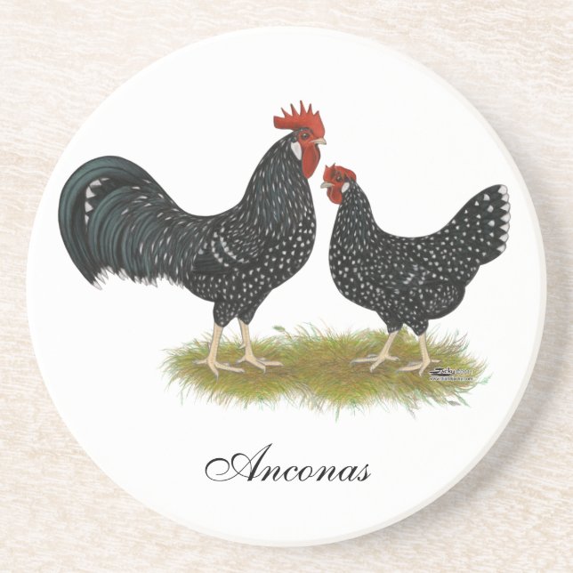 Ancona Chickens Coaster (Front)
