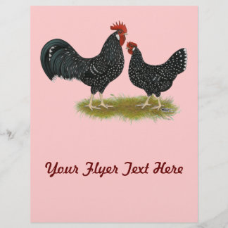 Ancona Chickens Flyer