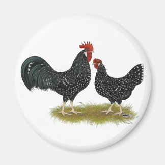 Ancona Chickens Magnet
