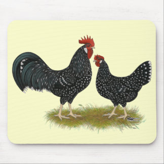 Ancona Chickens Mouse Pad