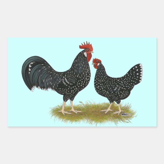 Ancona Chickens Rectangular Sticker (Front)