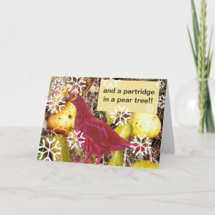 And a Partridge in a Pear Tree Holiday Card