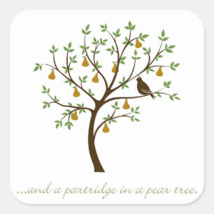 And a partridge in a pear tree square sticker