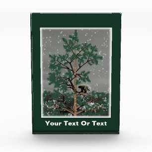 And A Porcupine In A Pine Tree Photo Block