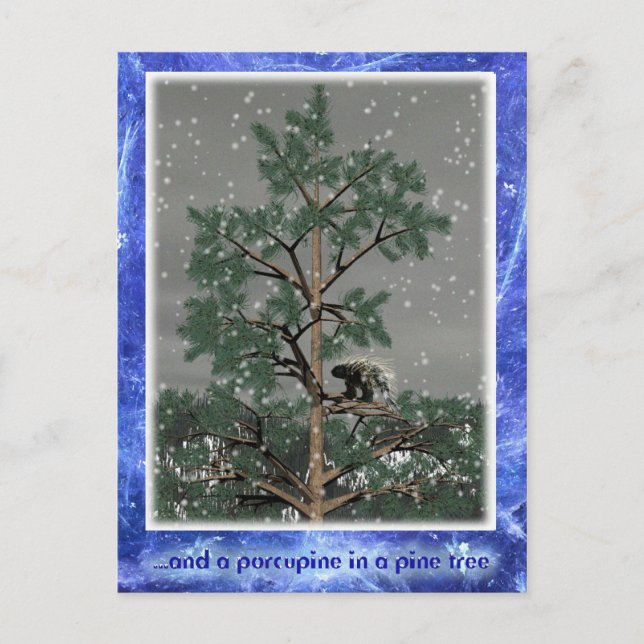 And A Porcupine In A Pine Tree Postcard (Front)