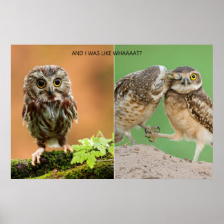 And I Was Like Whaaaaat? Poster