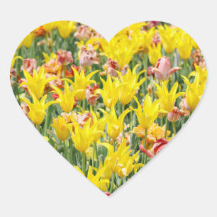 And Life Goes On  Heart Sticker