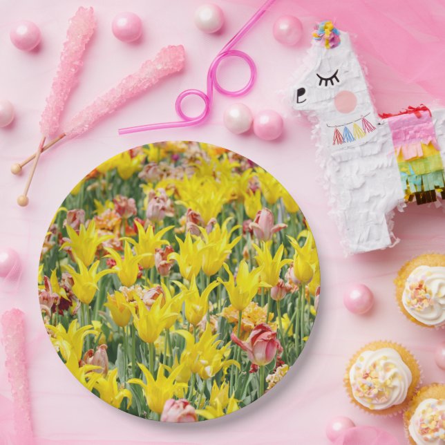 And Life Goes On  Paper Plate (Party)
