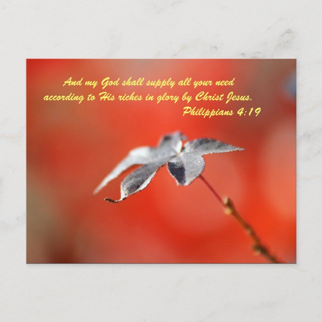 And my God shall supply all your need according to Postcard (Front)