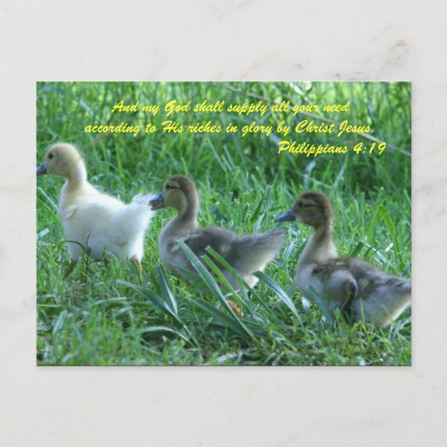 And my God shall supply all your need according to Postcard (Front)