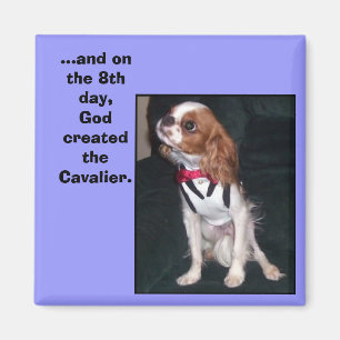 and on the 8th day,God created the cavalier magnet