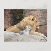 And The Lion Shall Lie Down With The Lamb