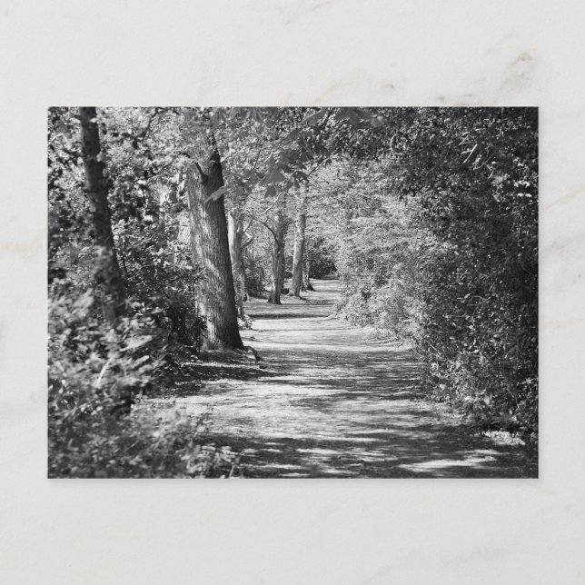 And the path runs through it postcard (Front)