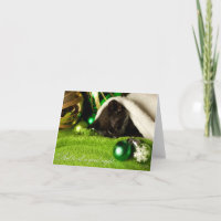 And To All A Good Night Kitty Card