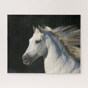 Andalucian Stallion Headshot Mane Flowing Jigsaw Puzzle