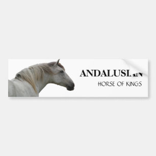 ANDALUSIAN HORSE 2 BUMPER STICKER