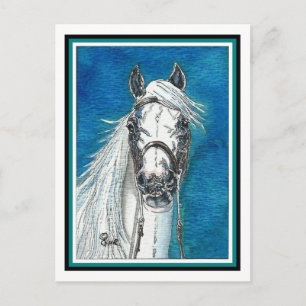 Andalusian Horse Art Postcard