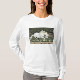 Andalusian Stallion running, PR T-Shirt