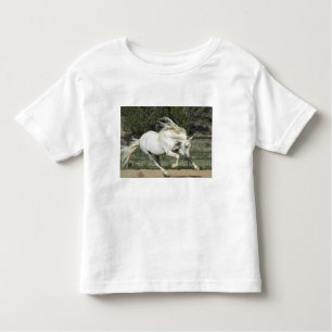 Andalusian Stallion running, PR Toddler T-Shirt