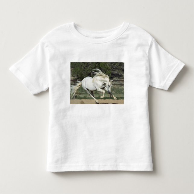 Andalusian Stallion running, PR Toddler T-Shirt (Front)