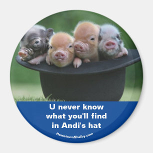 Andi's hat magnet