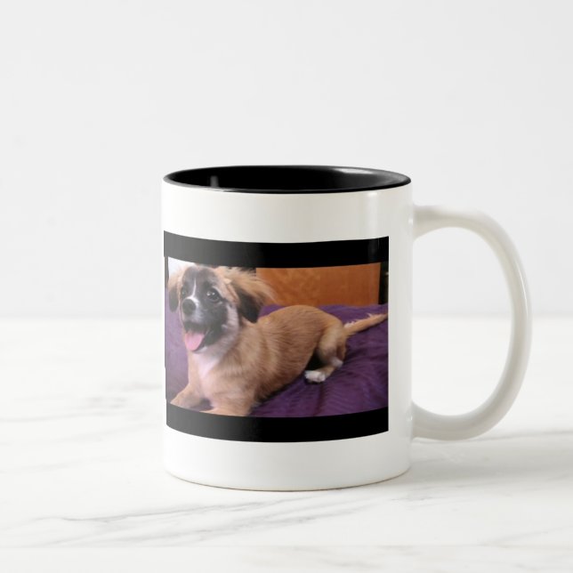 Andre: The King of Pup mug! Two-Tone Coffee Mug (Right)