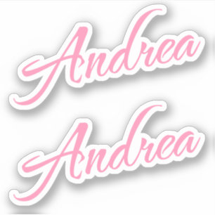 Andrew Decorative Name in Pink x2 Sticker