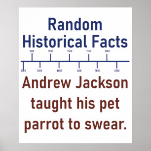 Andrew Jackson Taught His Parrot To Swear - Histo Poster