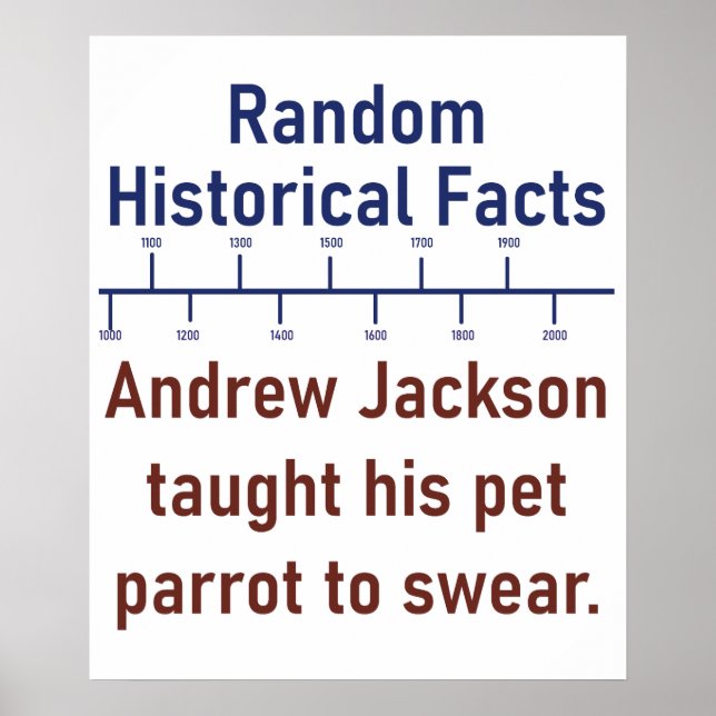 Andrew Jackson Taught His Parrot To Swear  - Histo Poster (Front)