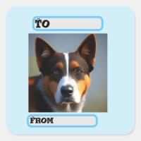 Andy The Australian Blue Heeler,