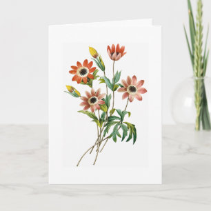 Anemone Birthday Greeting Card