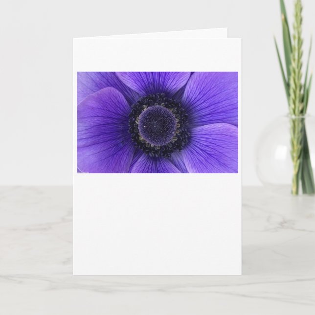 Anemone, card (Front)